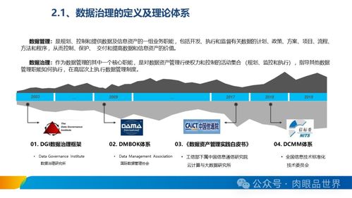 XX集團數(shù)據(jù)治理體系建設(shè)方案 數(shù)據(jù)處理服務(wù)專項規(guī)劃